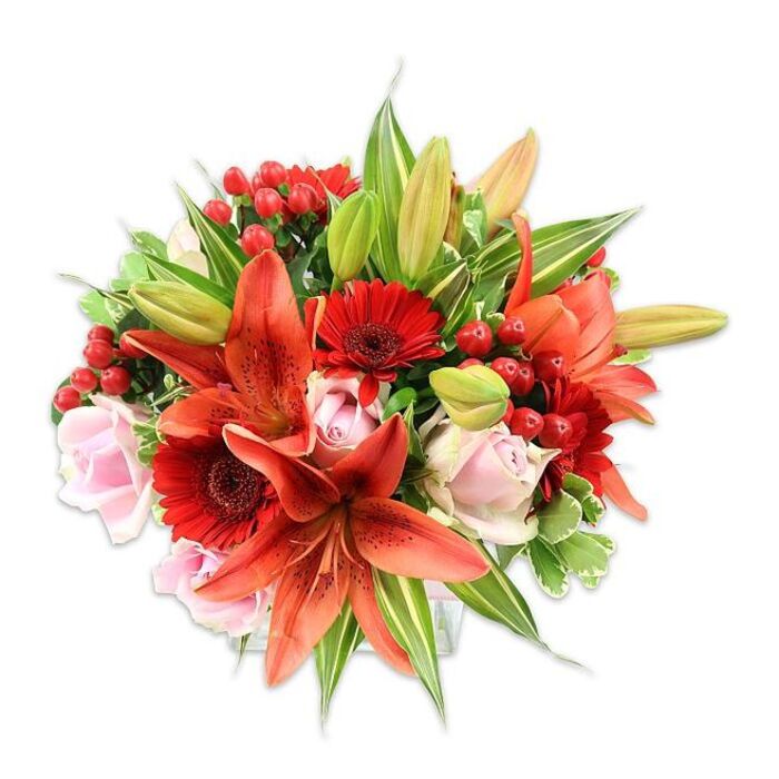 Framed by pristine white negative space, this lavish bouquet reads like an accomplished study in warm-season colour and texture, assembled with professional care. The composition is steered by several large Asiatic lilies in a saturated orange-red; their recurved petals display fine dark speckling and articulate stamens that add a sculptural, botanical detail to the centre of the design. Interspersed among these strong lilies are numerous deep crimson Gerbera daisies, whose many slim petals radiate from darker centres and introduce a graphic repetition that stabilises the arrangement's rhythm. Delicate pale pink roses are placed to soften edges and provide intimate close-ups - their layered, velvety petals vary from tight buds to partially open blooms, enhancing depth and inviting touch. Glossy red hypericum berries appear in small clusters, their smooth, bead-like forms offering a festive texture and reflective highlights that break up the petal surfaces. The greenery is abundant and varied: broad green leaves give weight and backdrop, variegated foliage with lighter veins adds brightness and movement, and slender lily leaves and unopened buds hint at continuing bloom. Viewed as a whole, the bouquet has a generous, rounded silhouette and a sensory richness - papery lilies, soft rose velvet, and the resilient gloss of berries - that evokes celebration, heartfelt thanks, or anniversary sentiment. Suited for delivery across Vauxhall and nearby Oval neighbourhoods, it's a confident, joyful arrangement that brings warmth and refined colour to a living space or event.