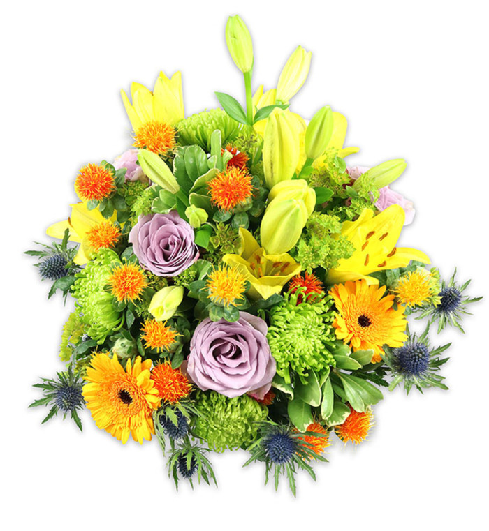 Against a stark white background, this densely packed floral bouquet presents a rich, layered study in complementary colours and tactile variety. The dominant palette of bright yellows and oranges is softened by pale lavender roses and a range of vibrant greens, while cool blue-grey thistles add a striking, structured contrast. Multiple yellow Asiatic lilies provide the vertical drama: some are wide open, their speckled petals and central stamens clearly visible, while others remain elongated buds, lending an upward-reaching rhythm that suggests growth and anticipation. Two soft lavender roses are placed near the middle, their romantic spirals offering a quiet, elegant focal point amid the more extroverted blooms.
Large-headed orange Gerbera daisies fan their petals outward like small suns, their darker centres grounding the composition. The arrangement gains its plush volume from lime-green button chrysanthemums-tight, ruffled pom-poms that create a textured, almost cushion-like bed for the rest of the flowers. Interspersed are tiny, spiky spherical blooms in vivid orange and golden yellow that add playful punctuation and contrast in scale. Distinctive sea-blue Eryngium thistles emerge along the lower edges, their spiky bracts introducing a modern, rustic accent against the soft petals. Mixed foliage-broad lily leaves and varied glossy greens-frames the bouquet and enhances depth, unifying the colour story.
Rendered in soft, even light, the bouquet suggests the faint, warming scent of lilies and roses and a handcrafted composition made with care. For anyone in the Vauxhall area-whether near Vauxhall Bridge Road, the riverside by the Thames, or around Vauxhall Pleasure Gardens-this arrangement conveys celebration, gratitude, or gentle condolence, working equally well as a centrepiece or a thoughtful gift.