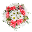 This joyful bouquet presents a harmonious blend of crisp white daisies, plush coral-pink carnations, and delicate baby's breath, all meticulously arranged by a local Vauxhall florist. Set against a luminous white background, the bouquet's vivid hues leap forward: daisies with sun-bright green centres beam amid lush, ruffled carnations reminiscent of the cheerful flower markets at Vauxhall Cross. Gypsophila's tiny star-like blossoms weave through the layers, imparting a dreamlike lightness that mirrors spring mornings in local parks. Sprigs of silvery eucalyptus, paired with deep green foliage, form an elegant base and gently cradle the blooms from every angle, evoking a sense of serenity and balanced design. Subtle hints of alstroemeria buds, tinged with blush and violet, hint at blooms to come, adding intrigue and gentle depth. The bouquet stirs feelings of celebration and renewal, perfectly suitable for birthdays, thank-yous, or moments of encouragement within South London. Its artistry echoes Vauxhall's spirit-fresh, uplifting, and welcoming, a floral arrangement ready to bring warmth to any home or special gathering.